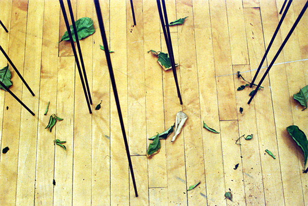 orange grove project